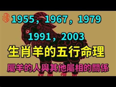 1979年生肖五行